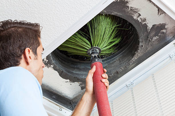 Best Air Vent Cleaning Services  in Topaz Ranch Estates, NV